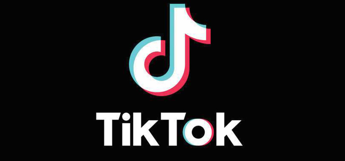 tiktok gaid