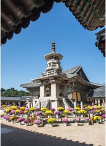 Eps korea. दक्षिण कोरिया रोजगारी, ई-सेभन भिसा नेपाल, दक्ष कामदार कोरिया, EPS बाहेक कोरिया जान, कोरिया नेपाली श्रमिक, वैदेशिक रोजगार नेपाल 