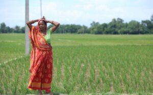 मुख्य शब्दहरू: खडेरी, सिँचाइ संकट, मधेस किसान, विद्युत अभाव, बारा कृषि समस्या, सरकारको उदासीनता, खेत चिरा, धान उत्पादन