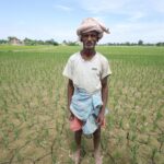 मुख्य शब्दहरू: खडेरी, सिँचाइ संकट, मधेस किसान, विद्युत अभाव, बारा कृषि समस्या, सरकारको उदासीनता, खेत चिरा, धान उत्पादन