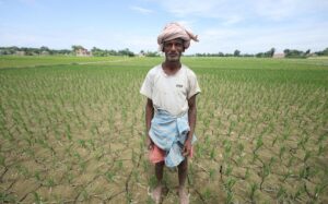 मुख्य शब्दहरू: खडेरी, सिँचाइ संकट, मधेस किसान, विद्युत अभाव, बारा कृषि समस्या, सरकारको उदासीनता, खेत चिरा, धान उत्पादन