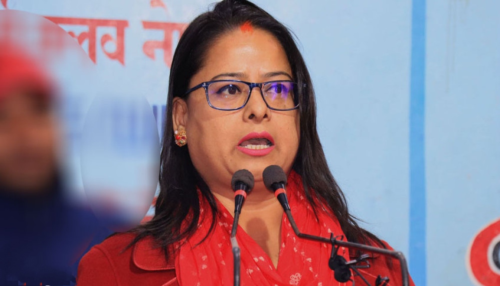 नाउपा विवाद, रञ्जिता श्रेष्ठ, रेशम चौधरी, लालवीर चौधरी, नागरिक उन्मुक्ति पार्टी, अध्यक्ष विवाद, नाउपा किचलो, नेपाली राजनीति, कानुनी प्रक्रिया, संसदीय दल स्पष्टीकरण