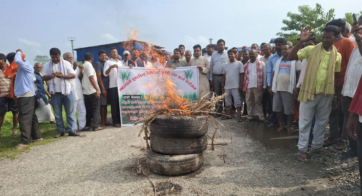 सर्लाहीको हरिवनस्थित इन्दुशंकर चिनी उद्योग, गोडैतास्थित महालक्ष्मी सुगर मिल र धनकौलस्थित अन्नपूर्ण चिनी उद्योग अगाडि किसानहरूले एकैसाथ प्रदर्शन गरेका हुन्। उनीहरूले राज्यले दिने भनिएको प्रति क्विन्टल ७० रुपैयाँ