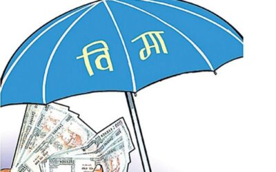 नेपाल बिमा दाबी, आन्दोलन क्षति बिमा, बिमा प्राधिकरण नेपाल, सम्पत्ति बिमा भुक्तानी, मोटर बिमा नेपाल, insurance claim Nepal, protest damage insurance, बिमा समाचार नेपाल